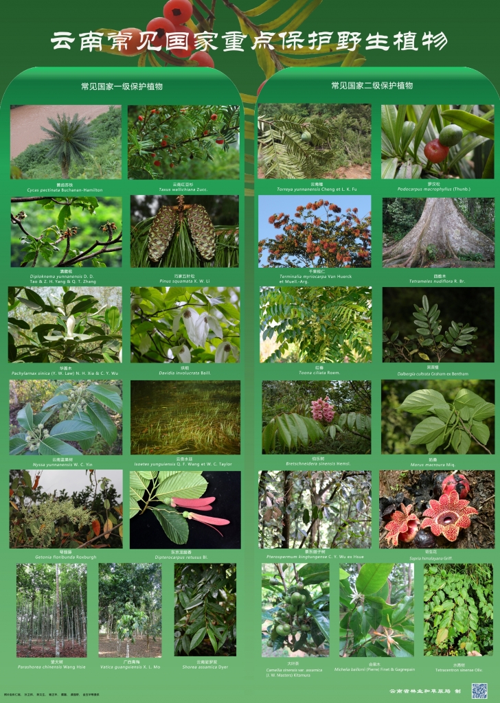 以案普法：风险国度沉点；ぶ参镒